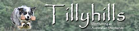 Tillyhills